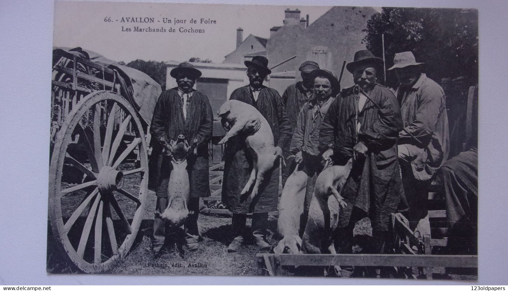 Avallon Un Jour De Foire Marchands De Cochons  89 Yonne - Schweine