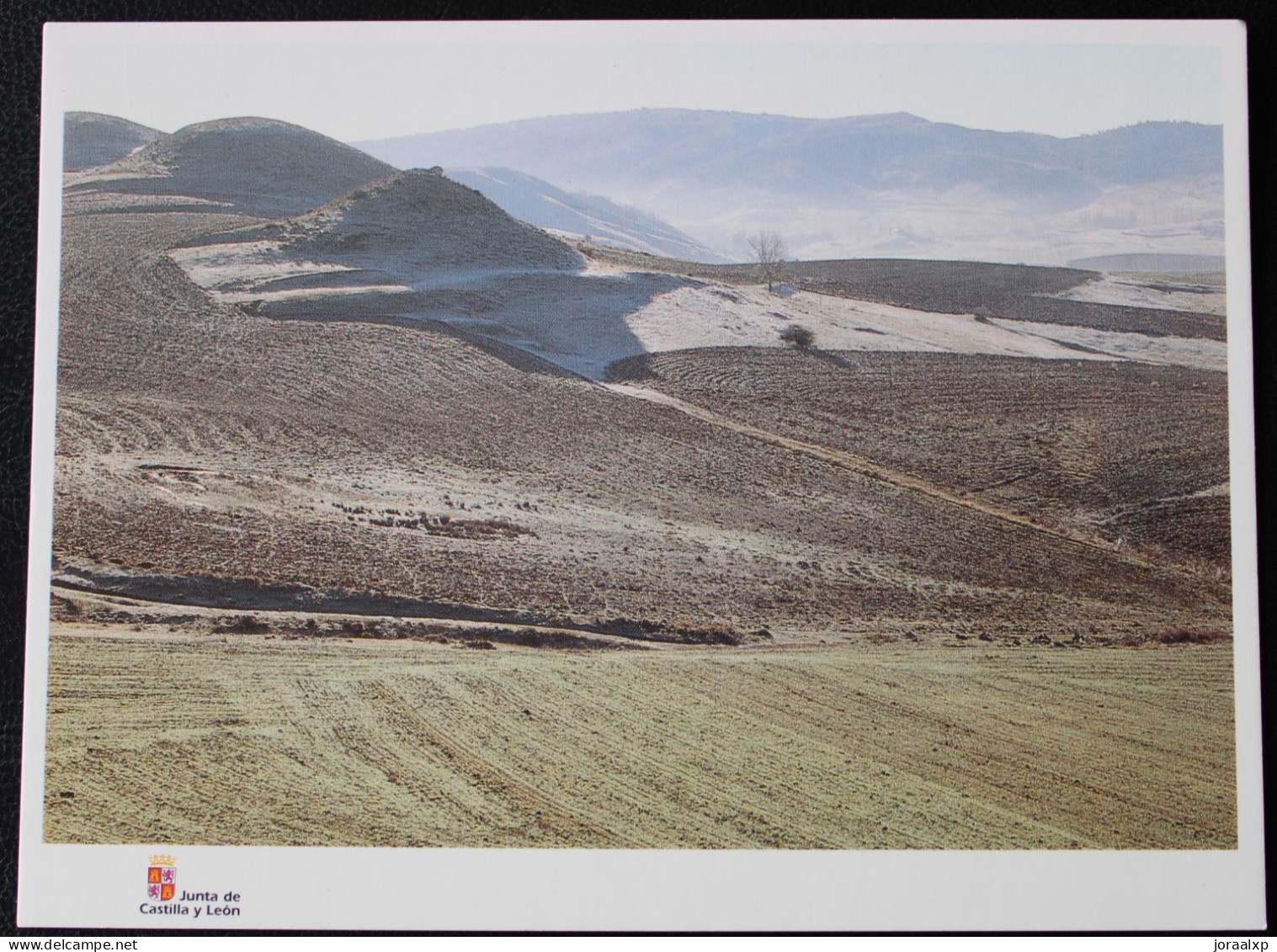 SORIA. Museo Numantino. Arqueología.N31 .Ambrona Vista General - Soria