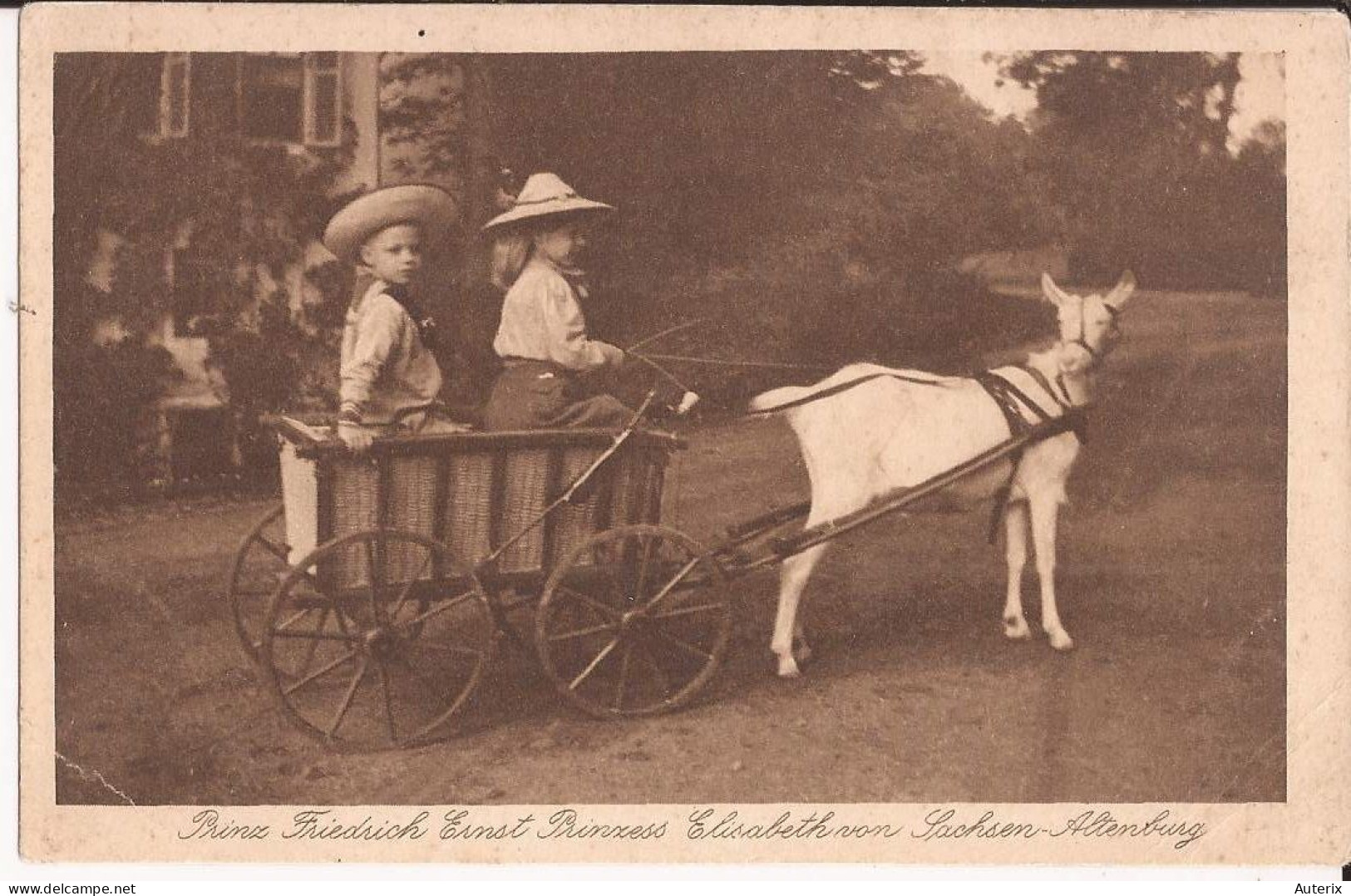 Allemagne - Célébrités - Altenburg - Prinz Friedrich Ernst Princess Elisabeth Von Sachsen Goat Cart - Familles Royales