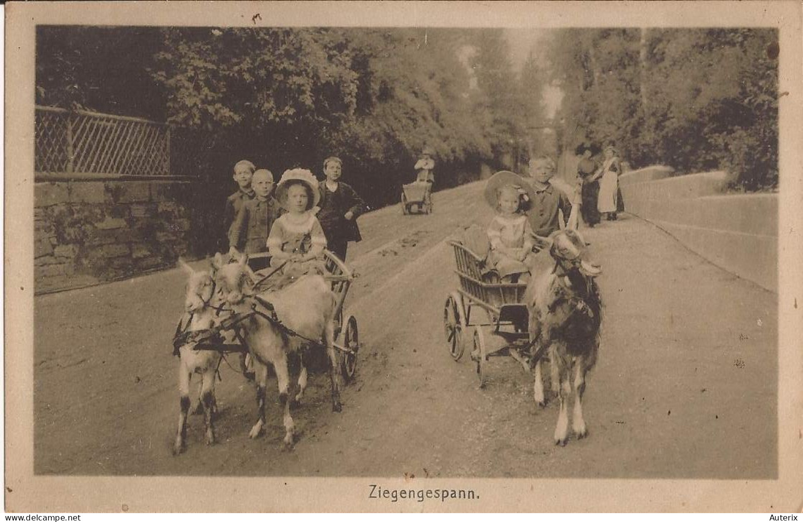 Allemagne - Friedrichroda - Ziegengespann Goat Cart - Friedrichroda