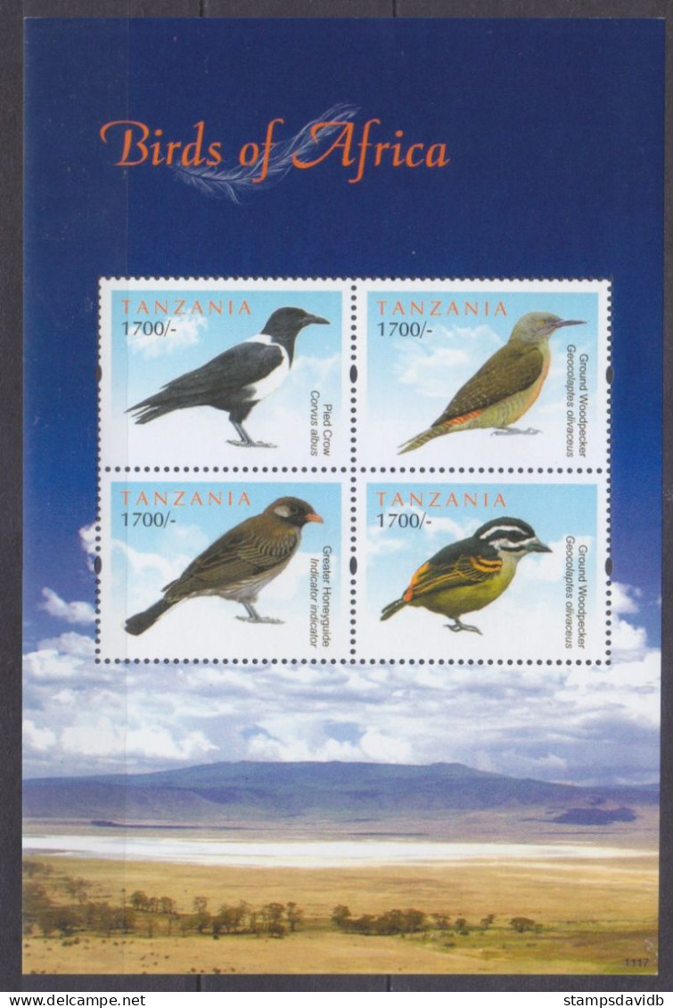 2012 Tanzania 4891-4894KL Birds 13,00 € - Piciformes (pájaros Carpinteros)