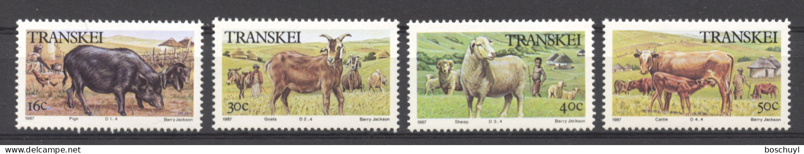 Transkei, 1987, Cattle, Farm Animals, MNH, Michel 210-213 - Transkei