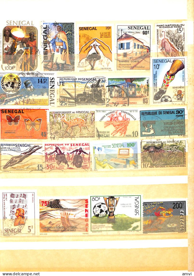 sam - continent africain album de plusieurs centaines de timbres