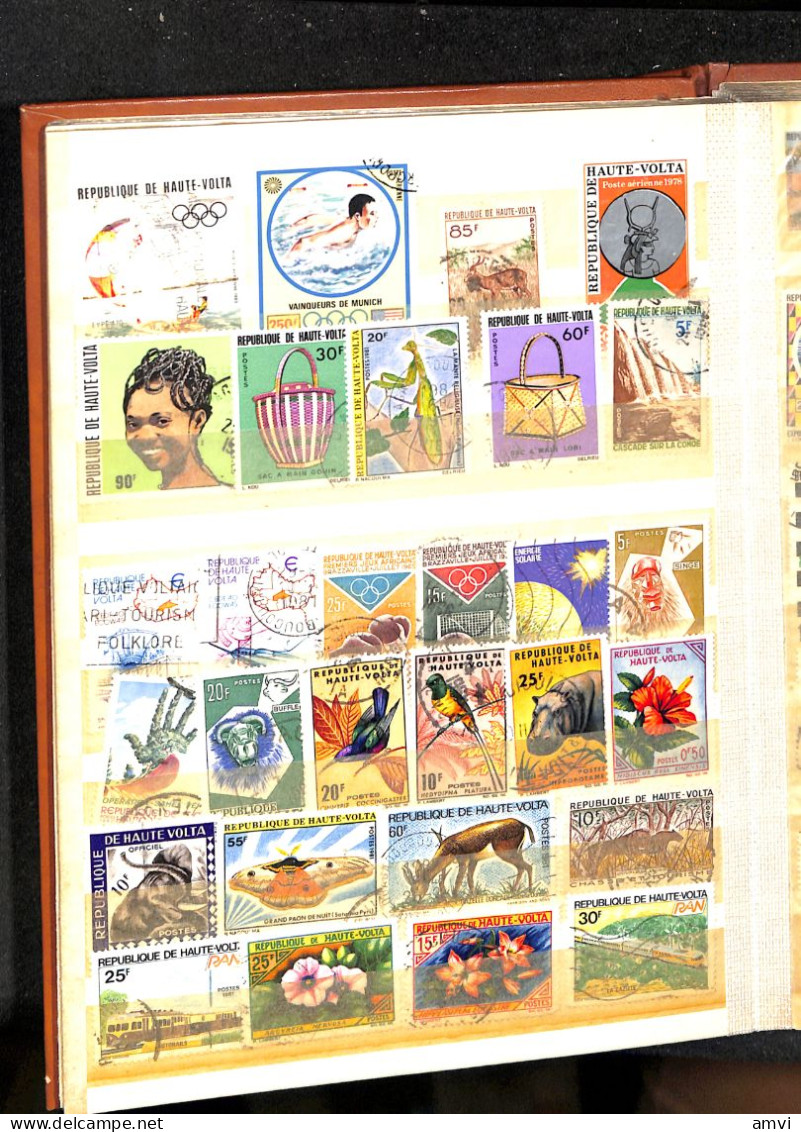 sam - continent africain album de plusieurs centaines de timbres