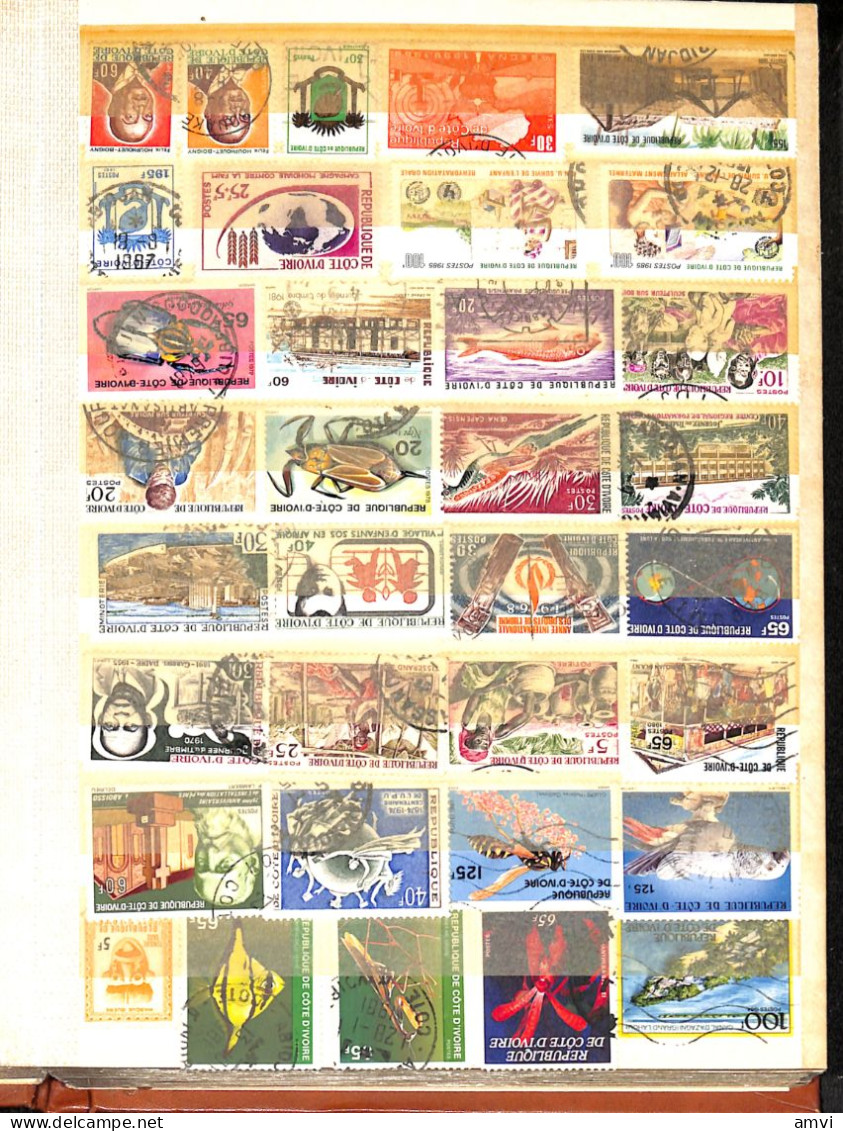 sam - continent africain album de plusieurs centaines de timbres