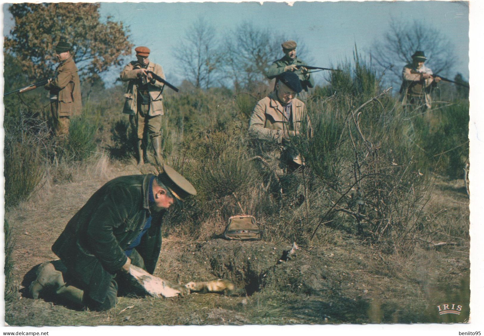 CPSM La Chasse Au Furet. - Hunting