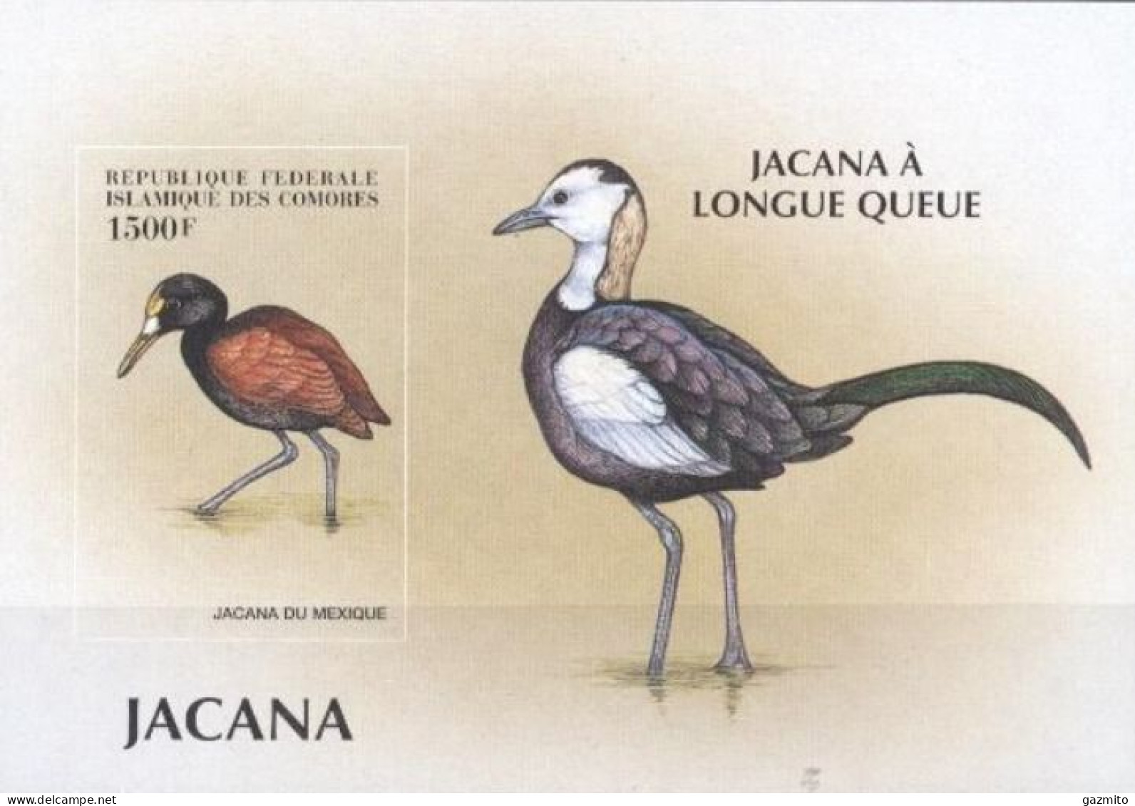 Comores 1999, Animals, Birds, Jacana, BF IMPERFORATED - Comores (1975-...)