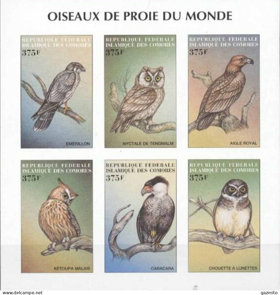 Comores 1999, Animals, Birds, Owl, Bird Of Prey, 6val In BF IMPERFORATED - Comores (1975-...)