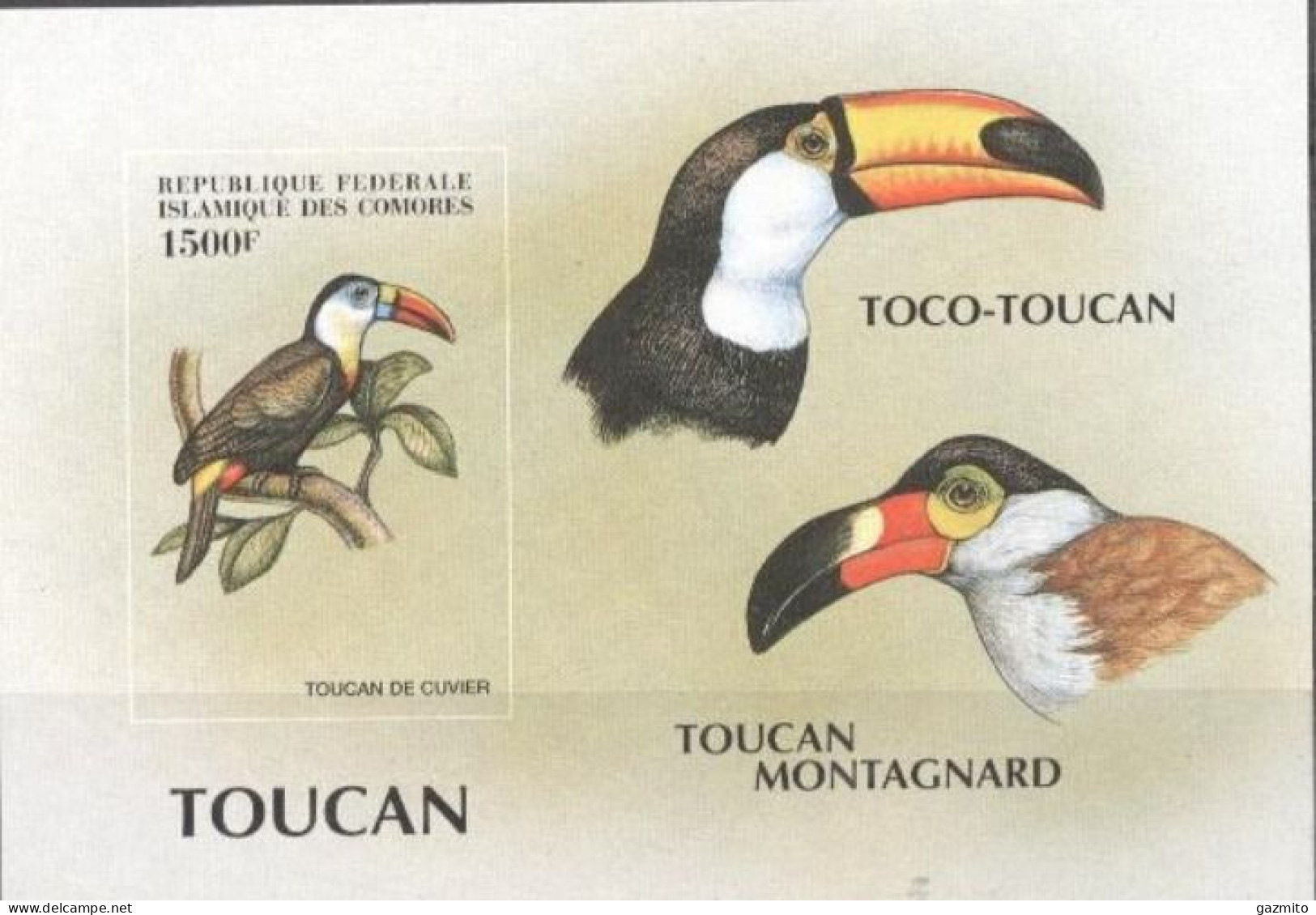 Comores 1999, Animals, Birds, Toucans, BF IMPERFORATED - Comores (1975-...)