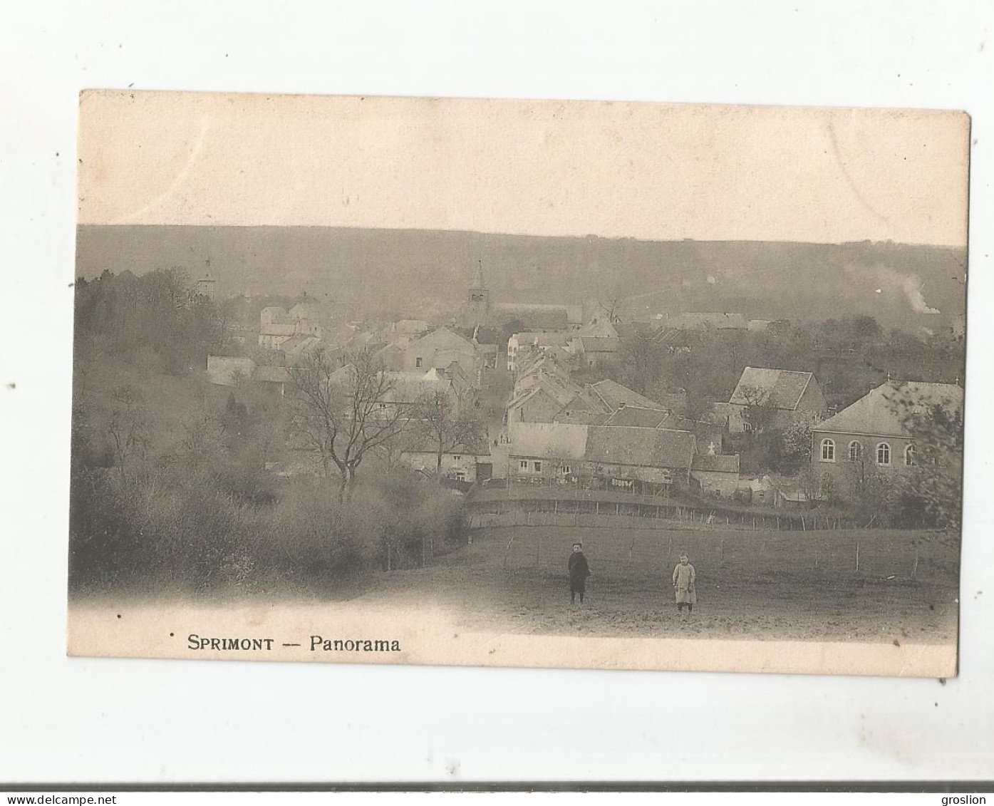 SPRIMONT PANORAMA  (EGLISE HABITATIONS ET ENFANTS DANS UN PRE) 1906 - Sprimont