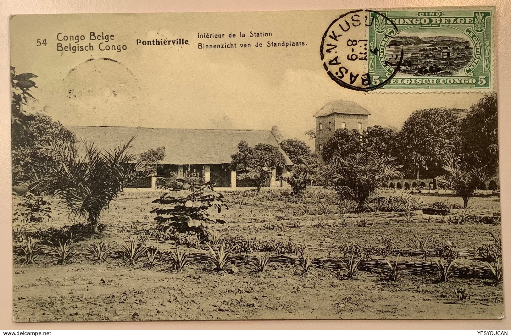 BASANKUSU1917entier Postal Illustré5c PONTHIERVILLE STATION54>Nijmegen Netherlands (Congo Belge Ananas Postal Stationery - Lettres & Documents