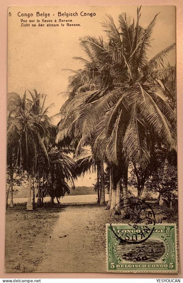 BASANKUSU1917entier Postal Illustré5c BANANA FLEUVE>Netherlands (Congo Belge River Palm Tree Palmier Postal Stationery - Covers & Documents