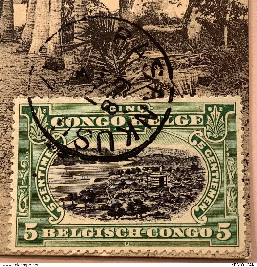 BASANKUSU1917entier Postal Illustré5c BANANA FLEUVE>Netherlands (Congo Belge River Palm Tree Palmier Postal Stationery - Brieven En Documenten