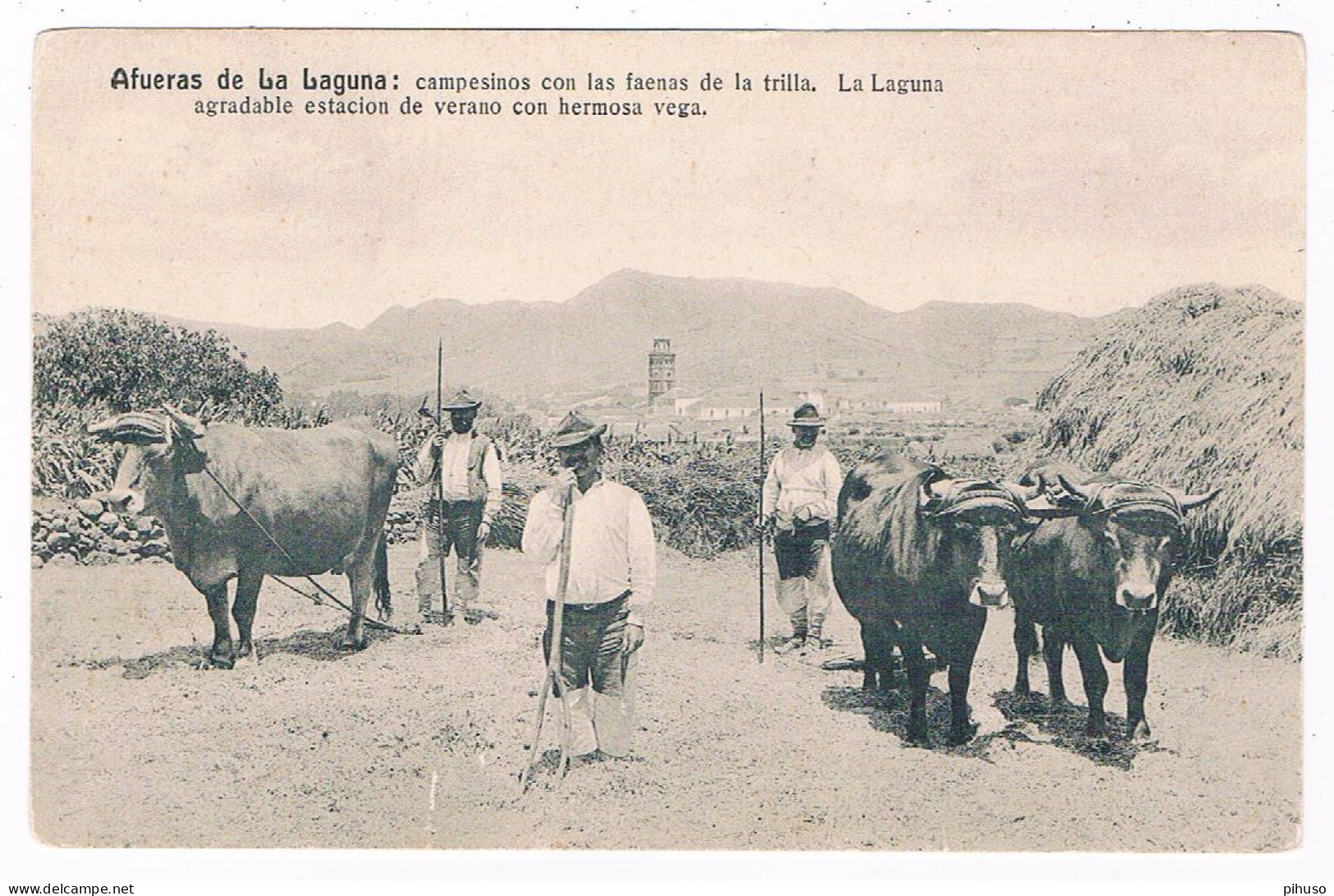 ES-2876  LA LAGUNA : Campesinos - Lanzarote