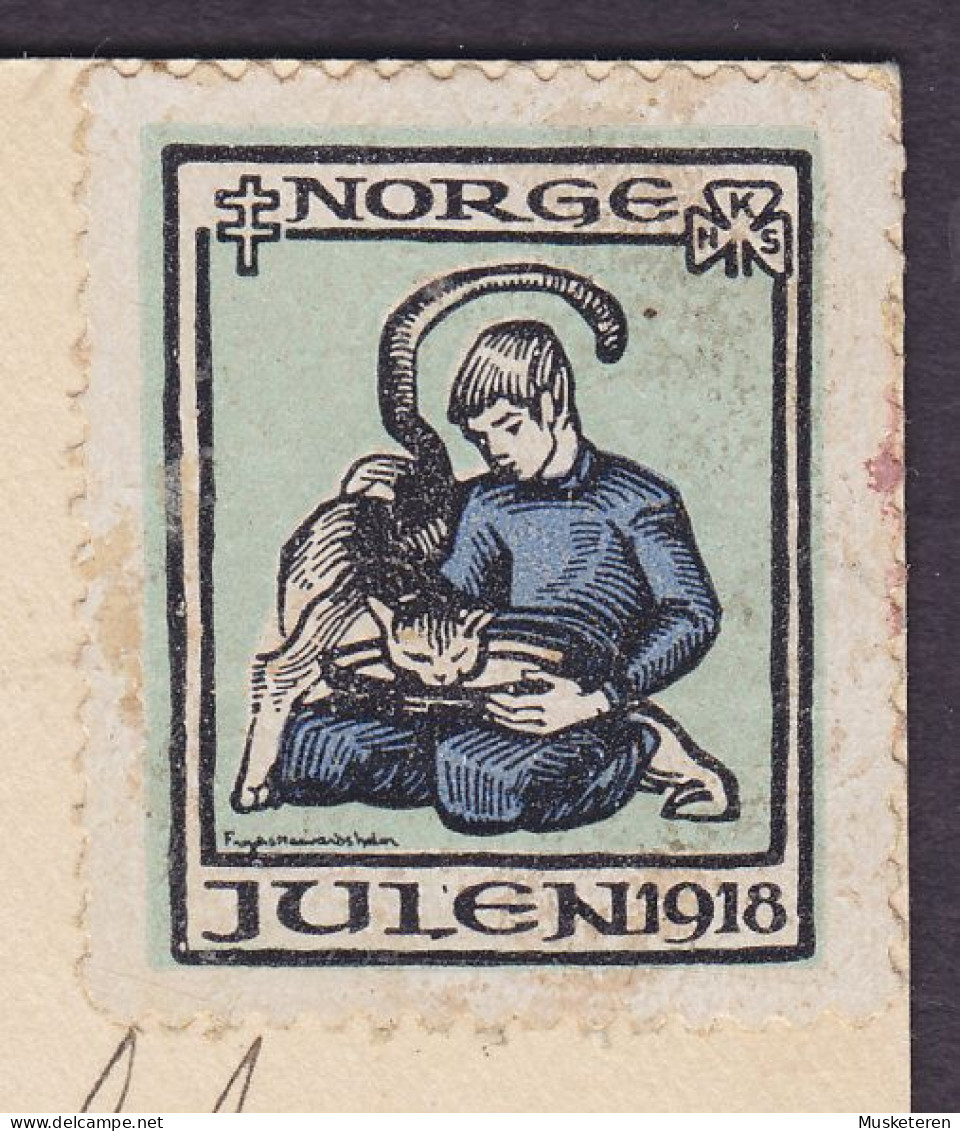 Norway PPC God Jul Artist : H. Bjerved Enerett PR 433 Christmas Seal 1918 Drengen Og Katten Boy And Cat Variety ERROR - Varietà E Curiosità