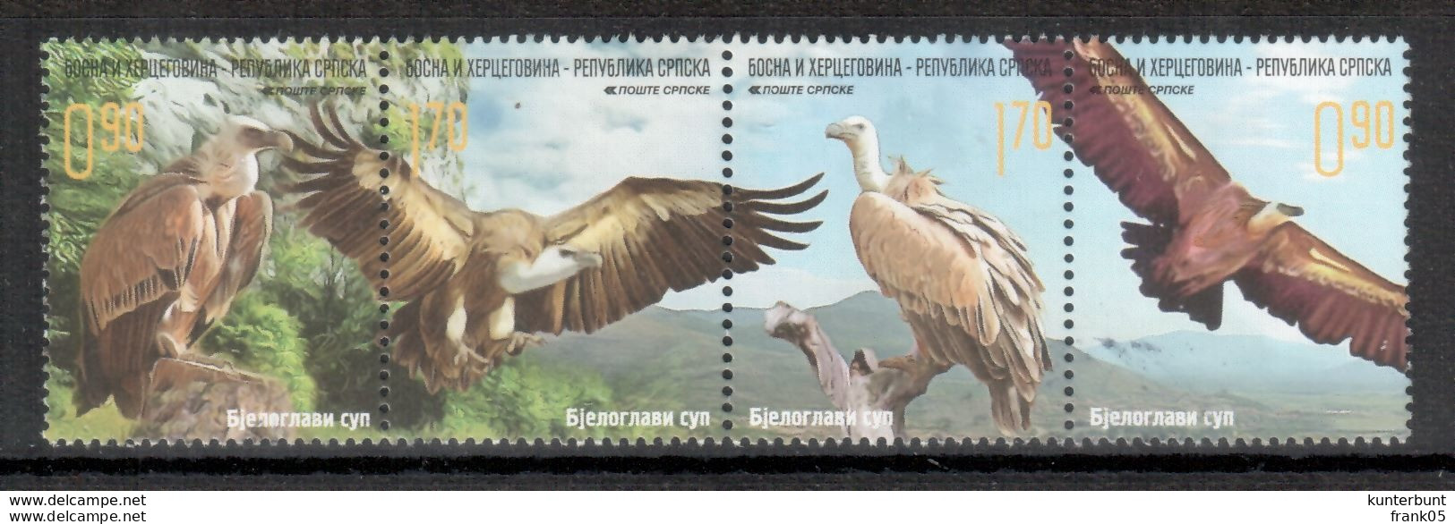 Bosnien Herzegowina Serbische Post / Bosnia Serbian Post 2016 Gänsegeier / Griffon Vulture Gestempelt/used - Bosnia Erzegovina