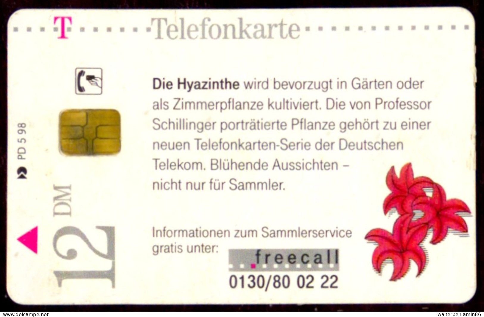 SCHEDA PHONECARD GERMANY BLUMEN 3 DIE HYAZINTHE PD 05/98 020 5010 5 803 - P & PD-Series: Schalterkarten Der Dt. Telekom