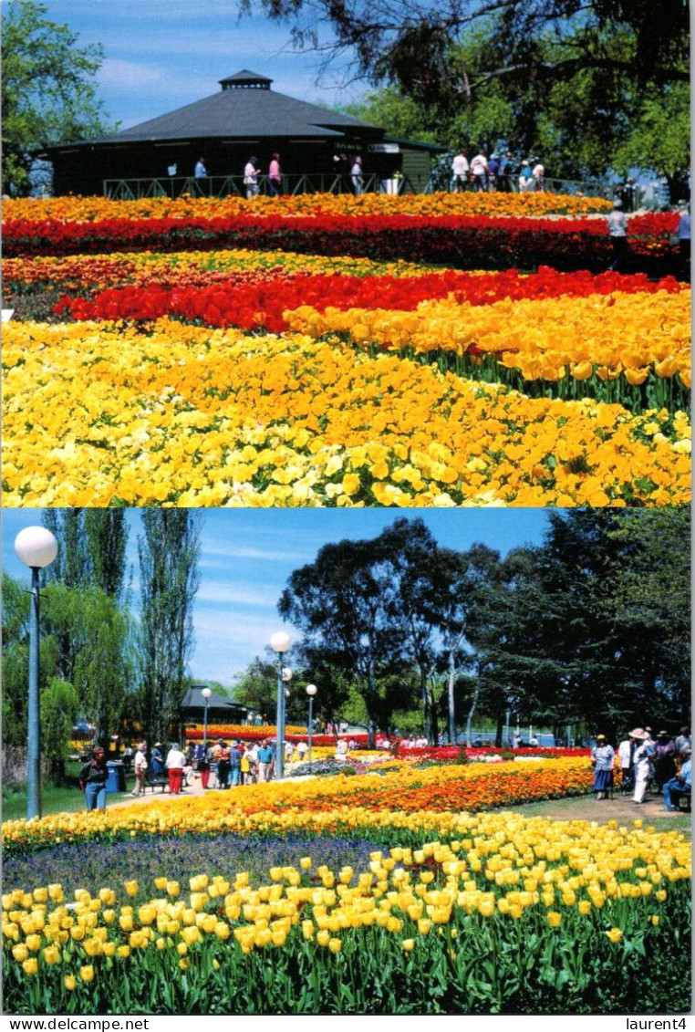 4-7-2023 (1 S 20) Australia - Canberra FLORIADE Flower Show (3 Postcards) - Canberra (ACT)