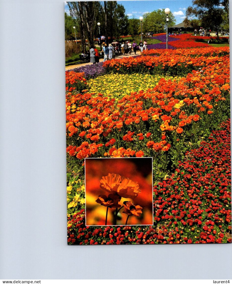 4-7-2023 (1 S 20) Australia - Canberra FLORIADE Flower Show (3 Postcards) - Canberra (ACT)