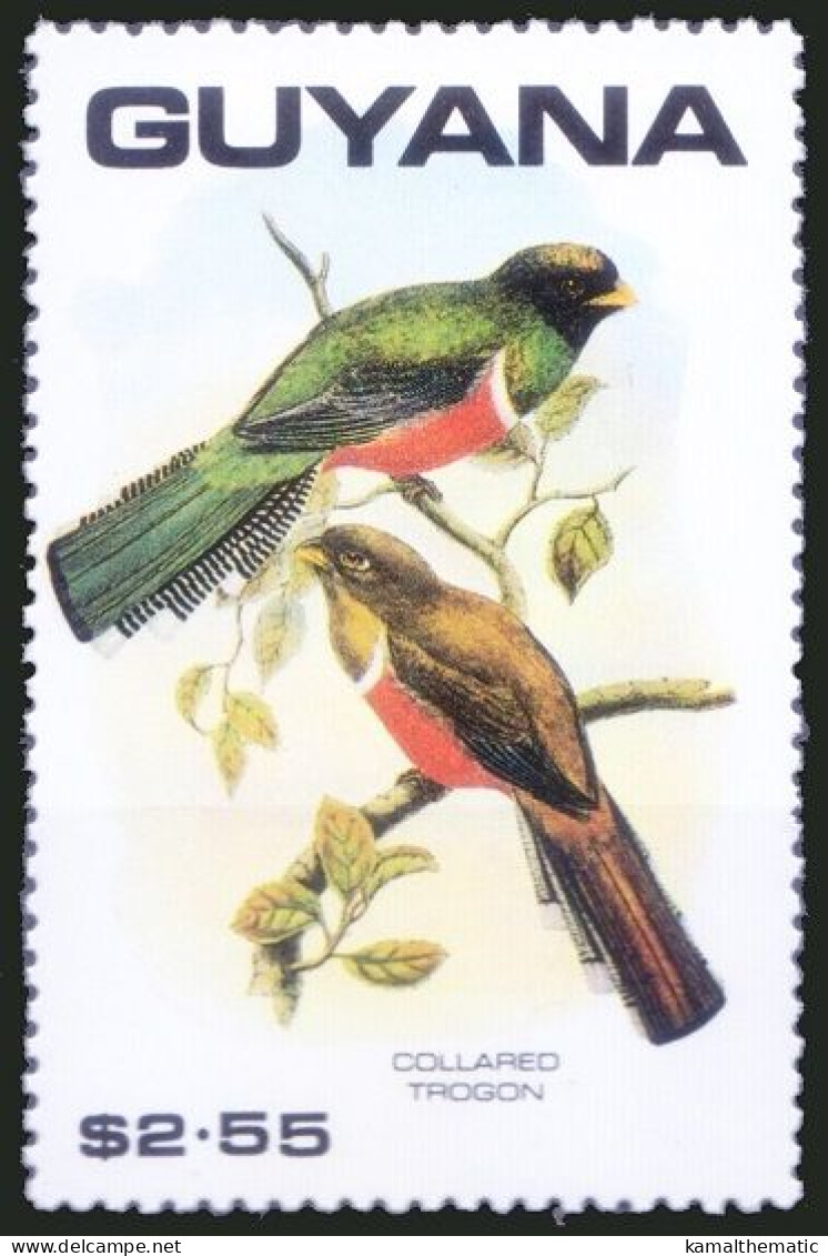 Collared Trogon, Birds, Guyana 1990 MNH - Coucous, Touracos