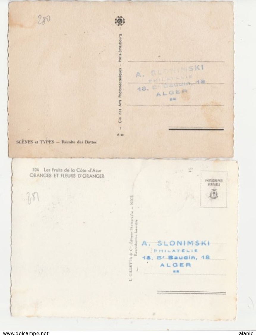 ALGERIE-Carte Maximum- N°279/81 CONGRES AGRUMICULTURE  PEU COMMUNES ALGER 1953 - Maximumkaarten