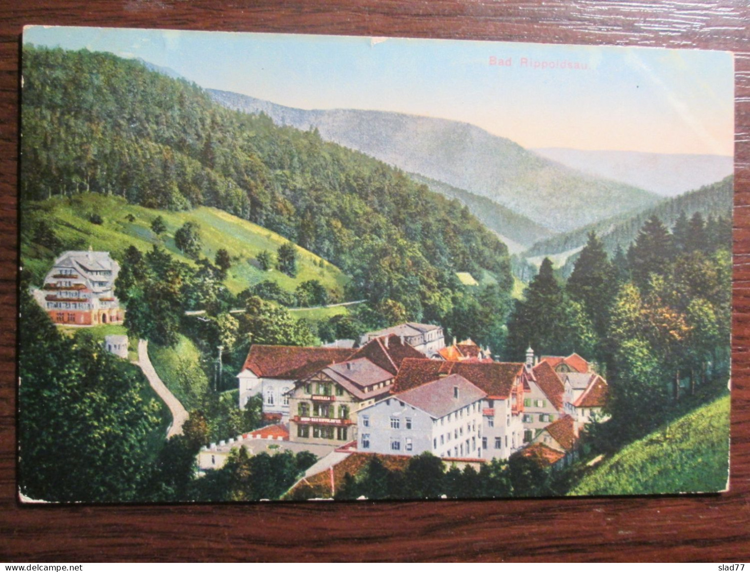 Bad Rippoldsau Germany - Bad Rippoldsau - Schapbach