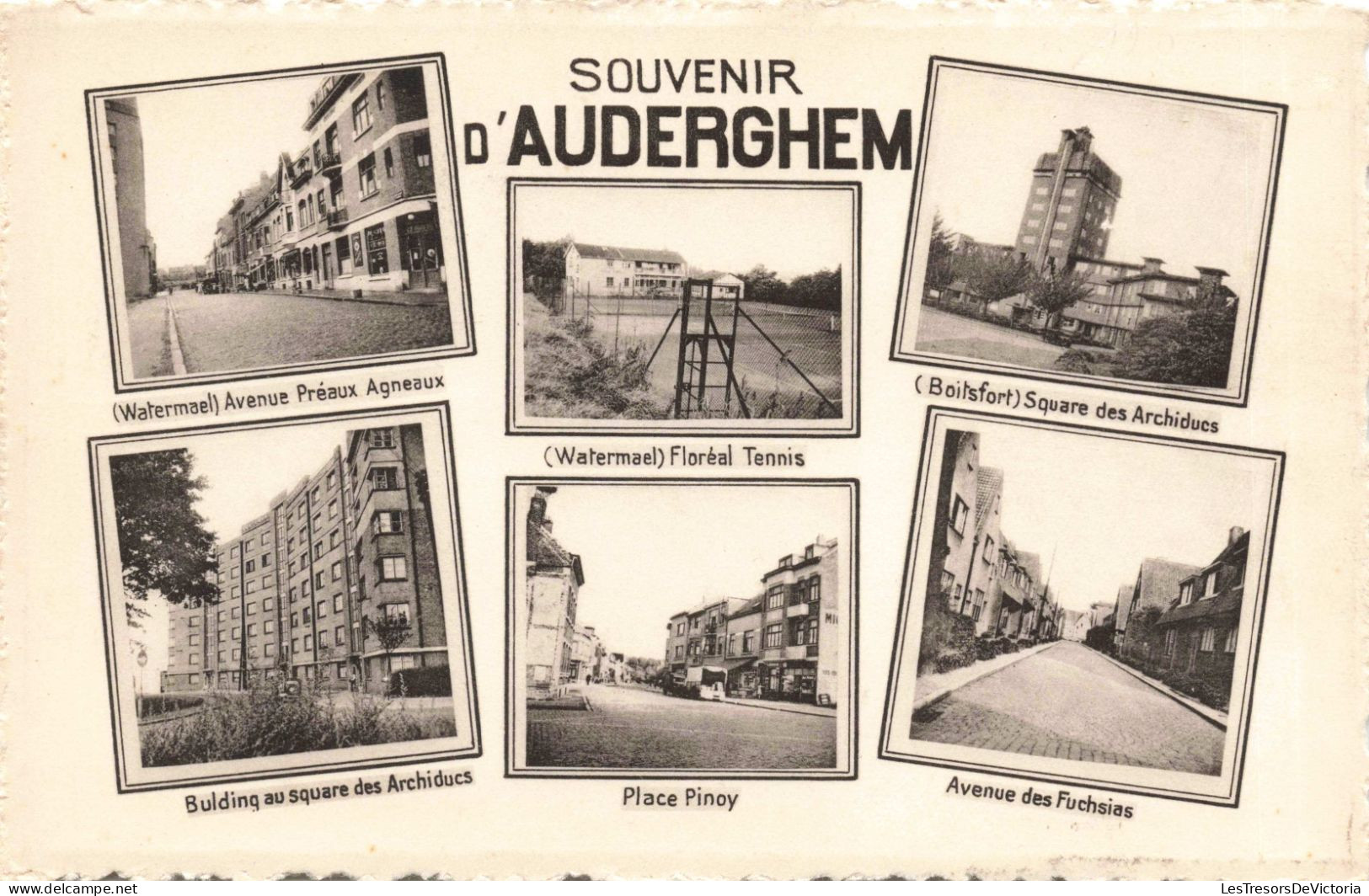 BELGIQUE - SOUVENIR D'AUDERGHEM - Avenues - Place Pinoy - Watermael - Square Des Archiducs - Carte Postale Ancienne - Avenidas, Bulevares