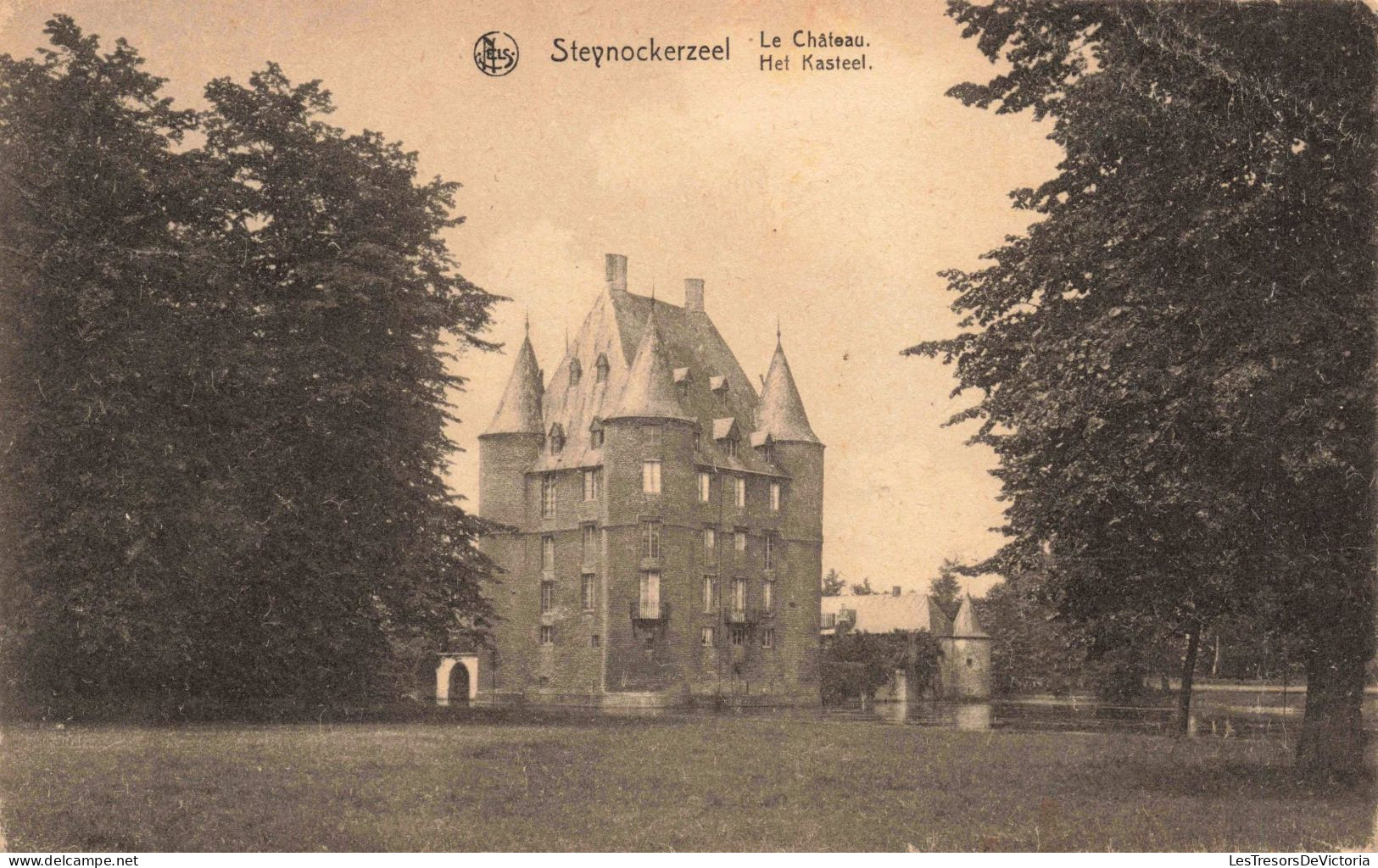 BELGIQUE - Steynockerzeel - Le Château - Lac - Tours - Pins - Carte Postale Ancienne - Autres & Non Classés