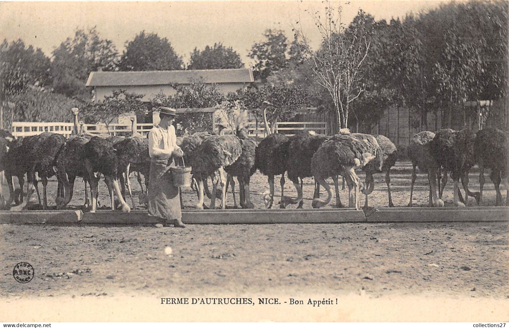 06-NICE- FERME D'AUTRUCHES - 8 CARTES