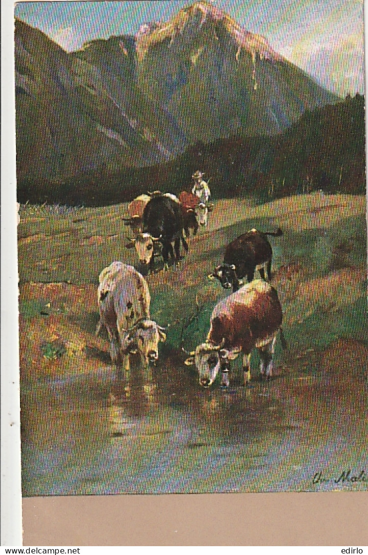 *** Peinture  ***  Elevage Vaches -- En Montagne Neuve TTB Serie 382 - Viehzucht