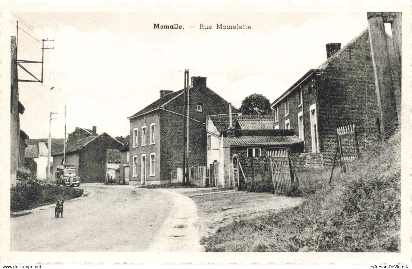 BELGIQUE - Momalle - Rue Momelette - Chien - Village - Voiture - Carte Postale Ancienne - Remicourt