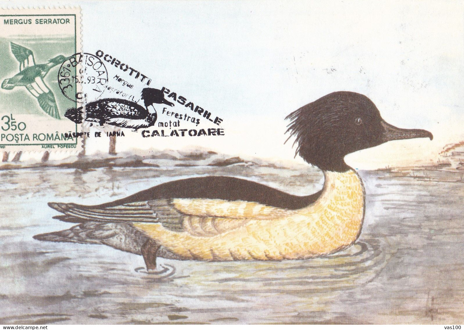 Romania, Roumanie, Rumänien, Rumania,, Carte Maximum 1988 Cygne - MERGUS MERGANSER -  Maximum Card . - Cygnes