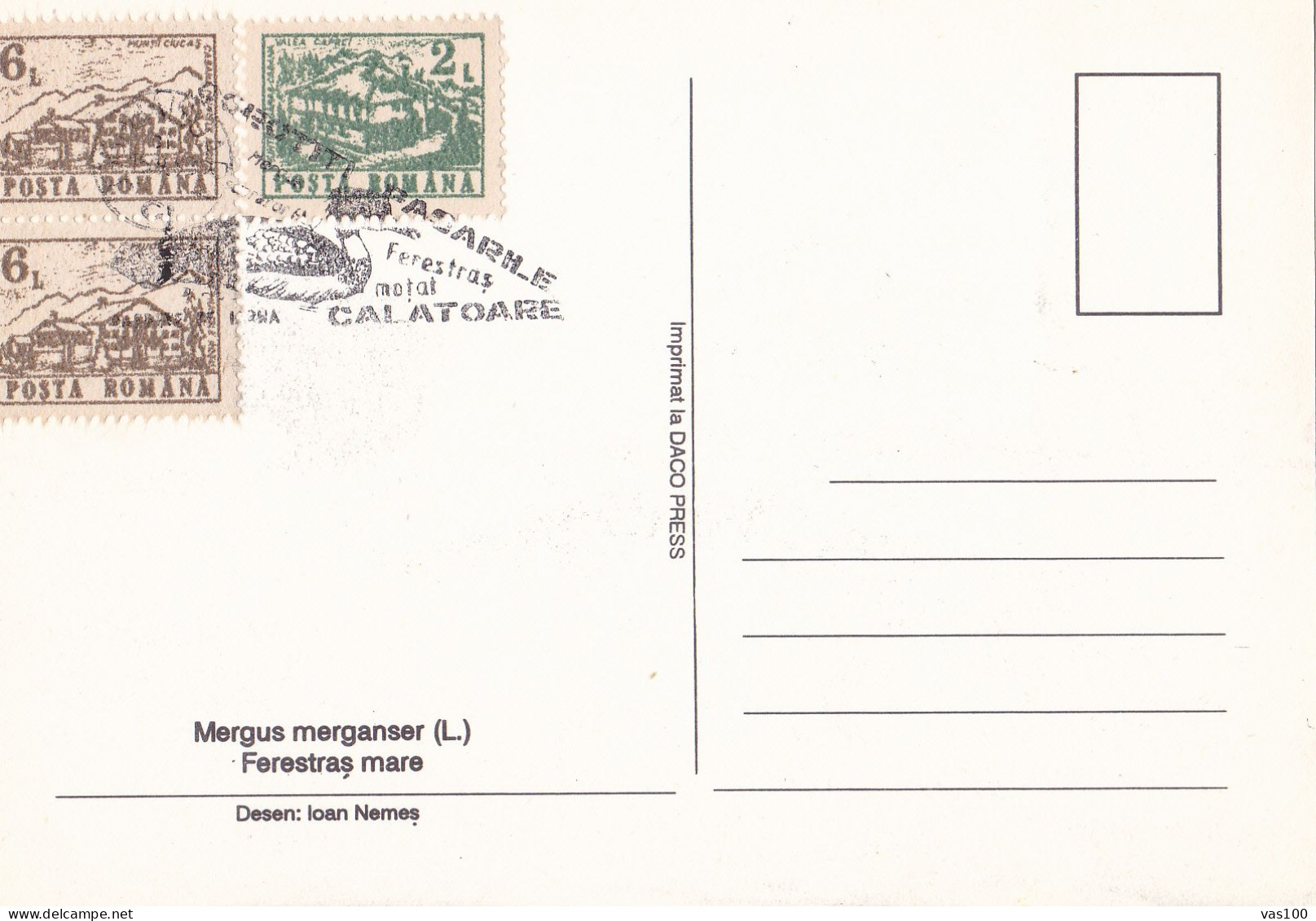 Romania, Roumanie, Rumänien, Rumania,, Carte Maximum 1988 Cygne - MERGUS MERGANSER -  Maximum Card . - Schwäne