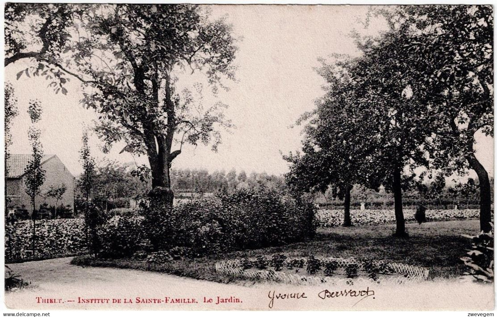 THIELT - Institut De La Sainte-Famille , Le Jardin - Tielt