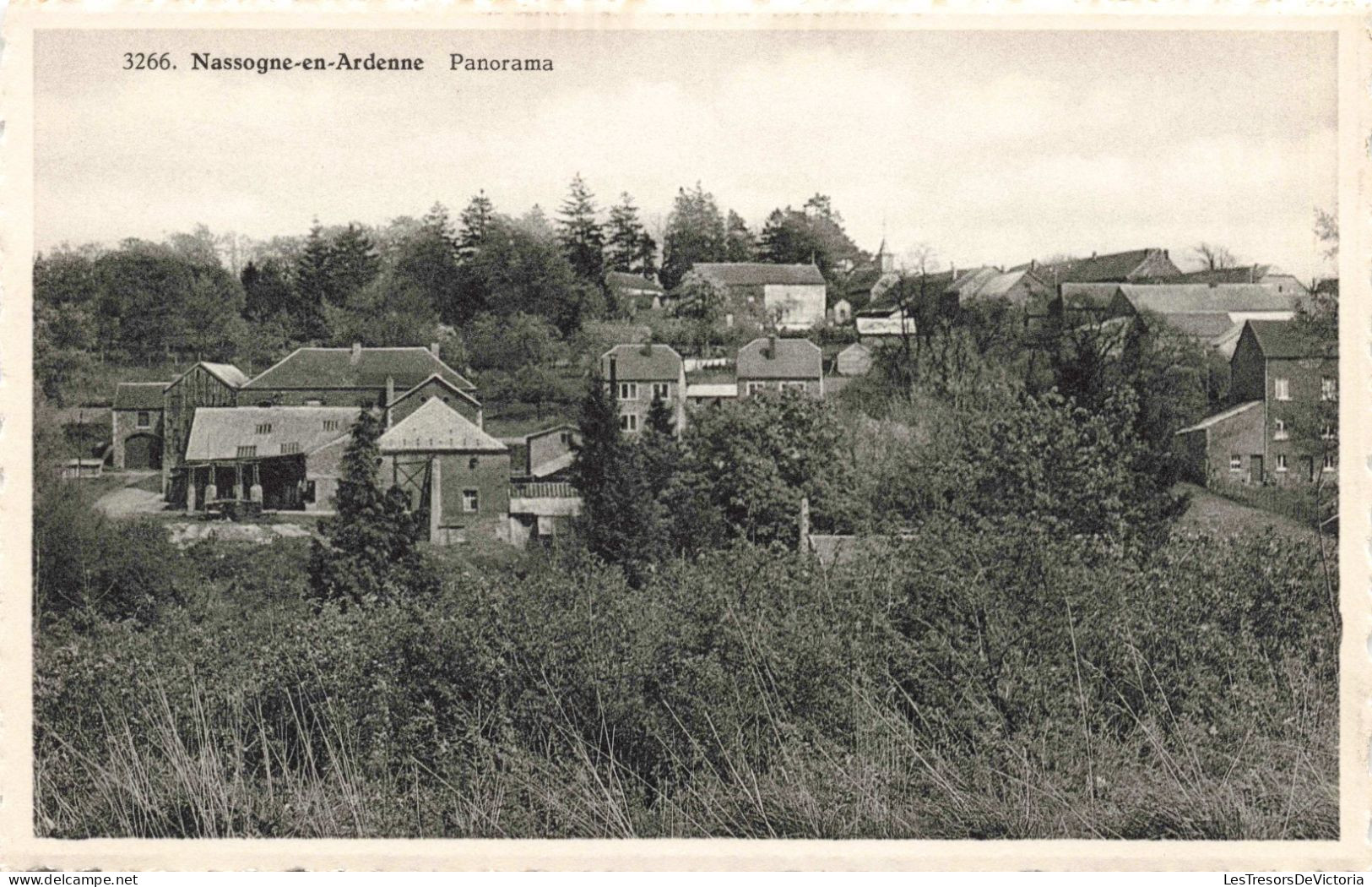 BELGIQUE - Nassogne-en-Ardenne - Panorama - Village - Vue - Habitation - Carte Postale Ancienne - Nassogne