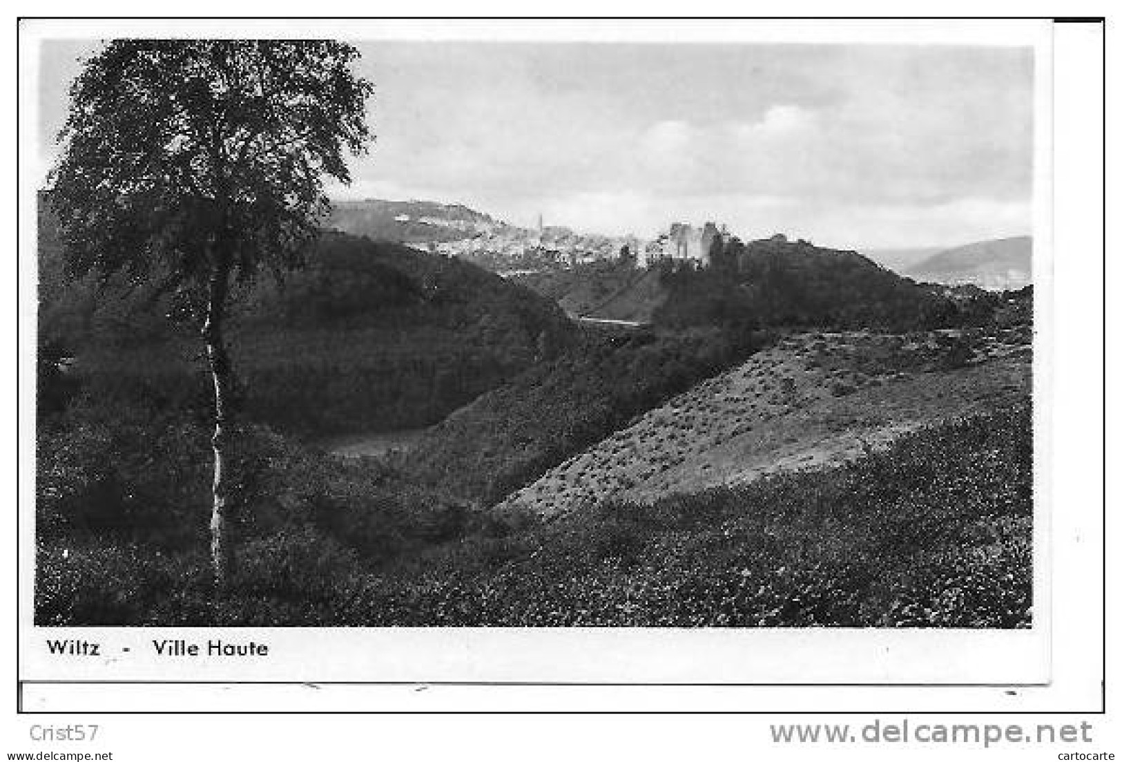 LUXEMBOURG  WILTZ 2 CARTES LE CHATEAU + VILLE HAUTE - Wiltz