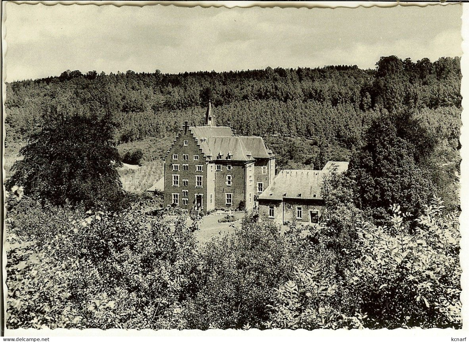 CP De Remersdael ( Fourons - Voeren ), " Castel Notre-dame , L'arche Au Millieu Des Flots Verts " - Voeren