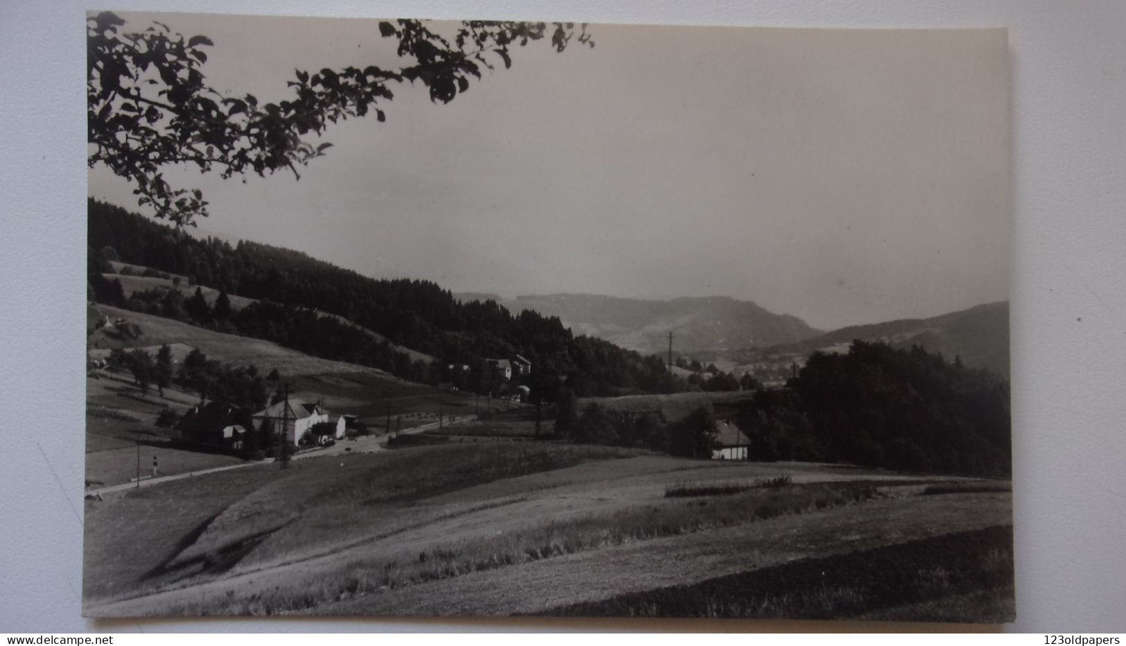 74 HAUTE  SAVOIE  SAXEL LE COL 1950 - Sonstige & Ohne Zuordnung