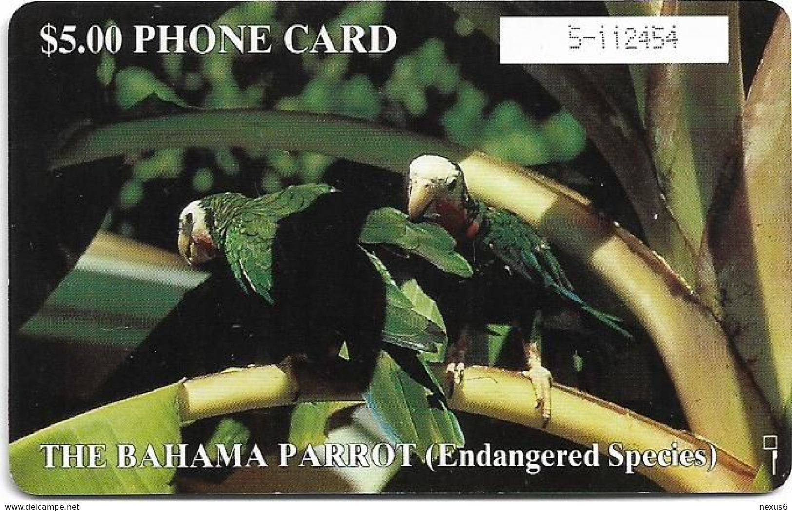 Bahamas - Batelco - Parrot, 1994, Gem1B Not Symm. Red, CN. Black In White Rectangle, NO Transp. Moreno, 5$, Used - Bahama's