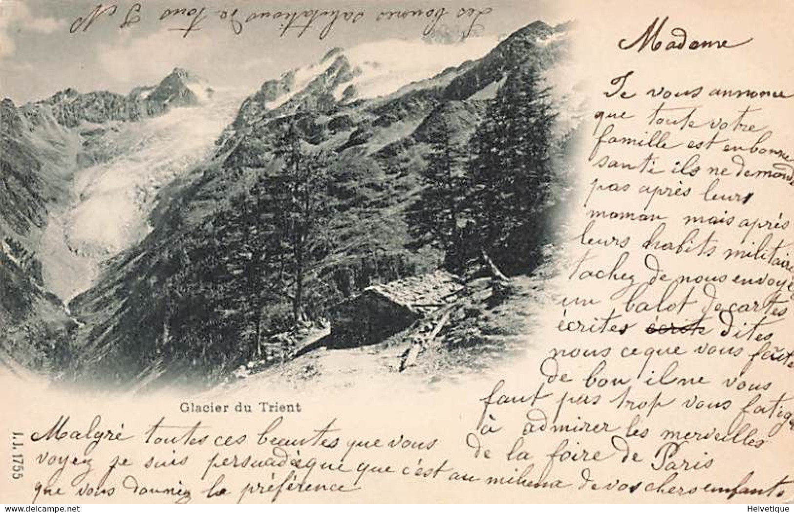 Glacier Du Trient 1900 - Trient