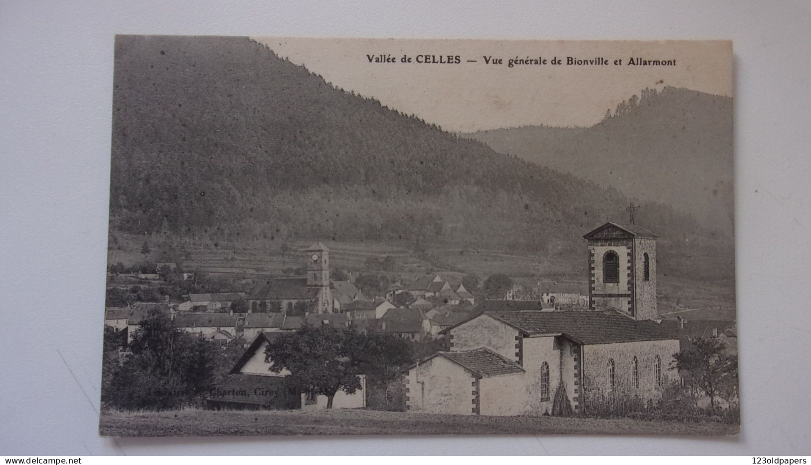 88 VALLEE DE CELLES BIONVILLE ALLARMONT - Sonstige & Ohne Zuordnung