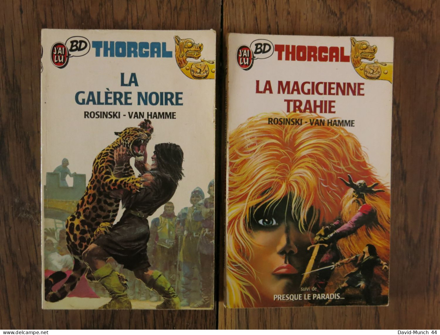 (BD) 2 Thorgal "la Galère Noire"/"La Magicienne Trahie" De Roski Et Van Hamme. J'ai Lu BD. 1989-1987 - Bücherpakete