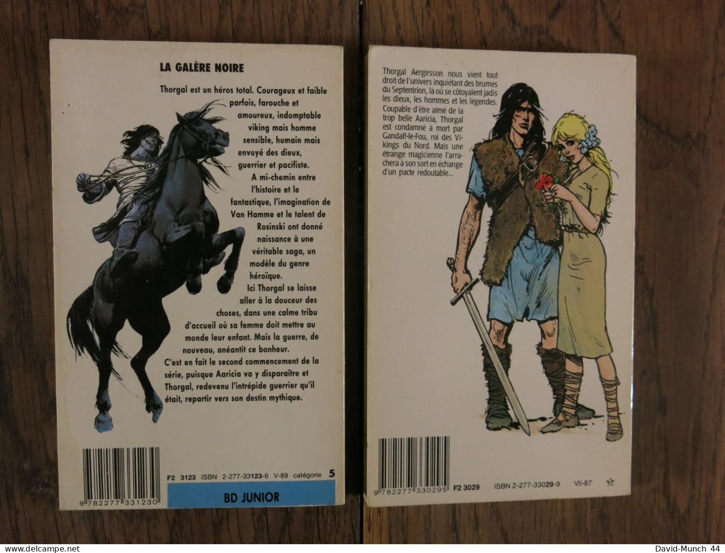 (BD) 2 Thorgal "la Galère Noire"/"La Magicienne Trahie" De Roski Et Van Hamme. J'ai Lu BD. 1989-1987 - Bücherpakete