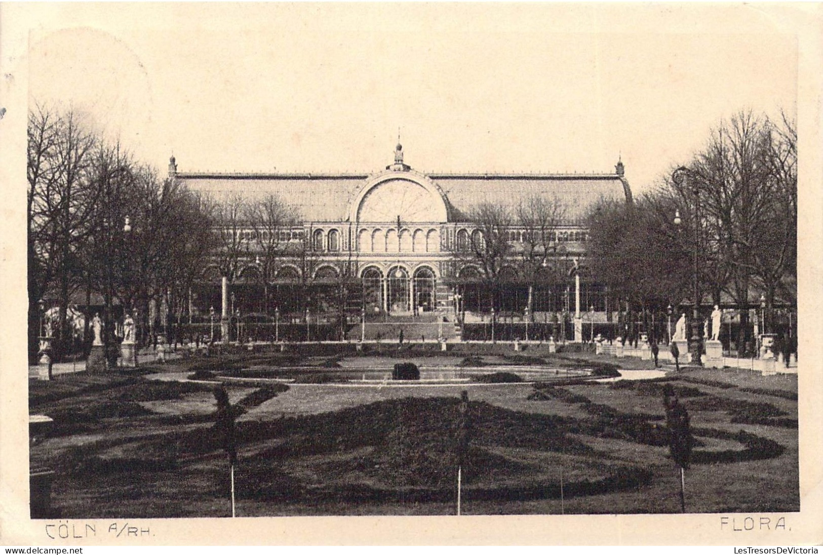 ALLEMAGNE - Coln A/ Rh - Flora - Carte Postale Ancienne - Köln