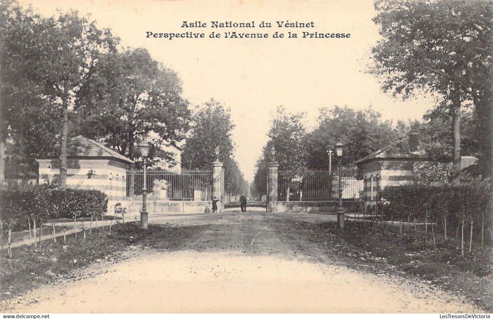 FRANCE - 78 - Le Vésinet - Asile National Du Vésinet - Perspective De L'Avenue De La Princesse - Carte Postale Ancienne - Le Vésinet