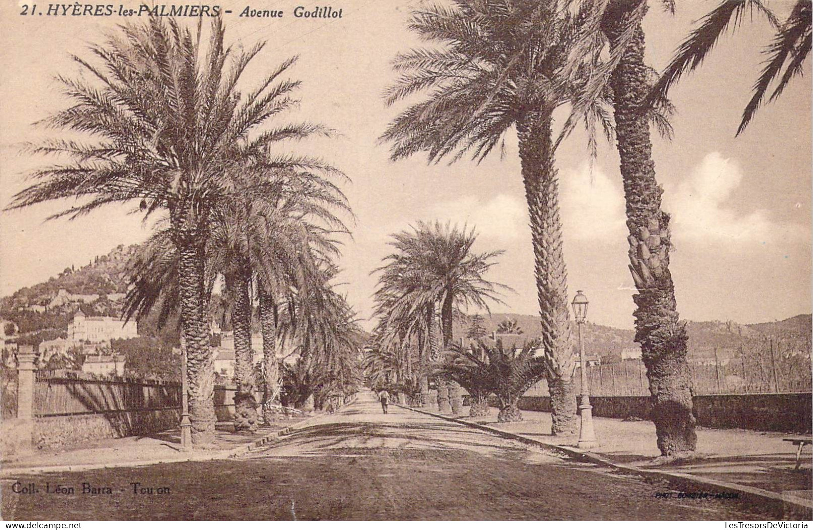 FRANCE - 83 - Hyères-les-Palmiers - Avenue Godillot - Carte Postale Ancienne - Hyeres