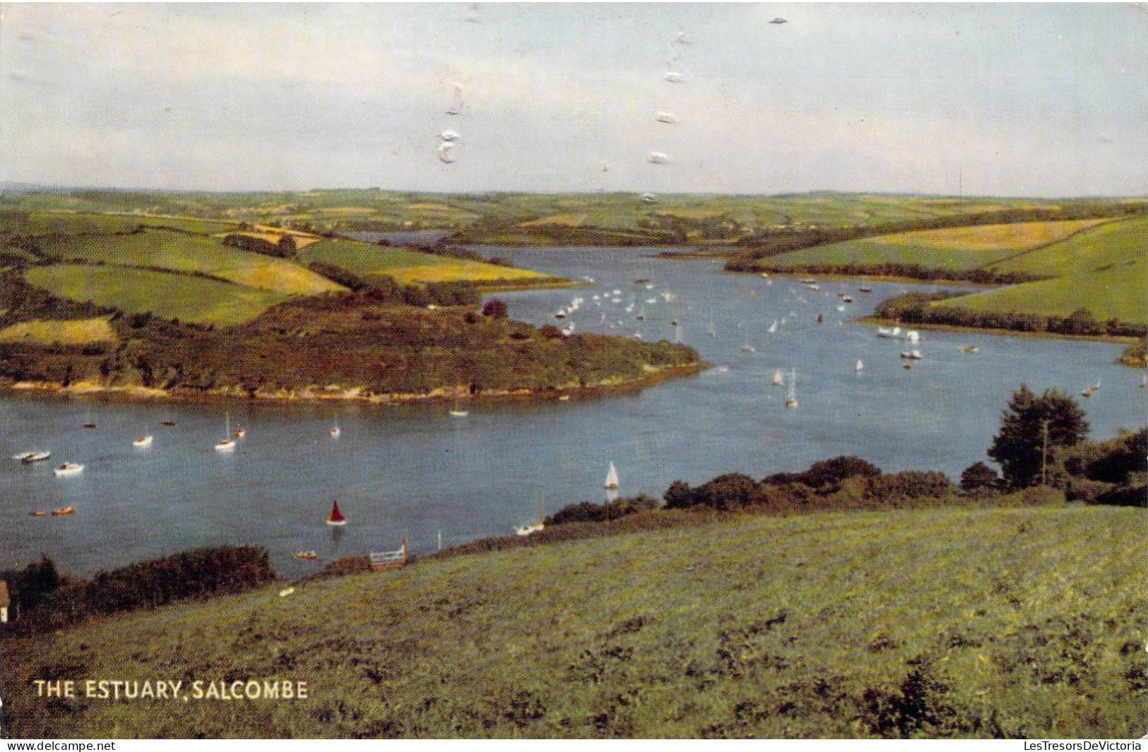 ANGLETERRE - Salcombe - The Estuary - Carte Postale Ancienne - Autres & Non Classés