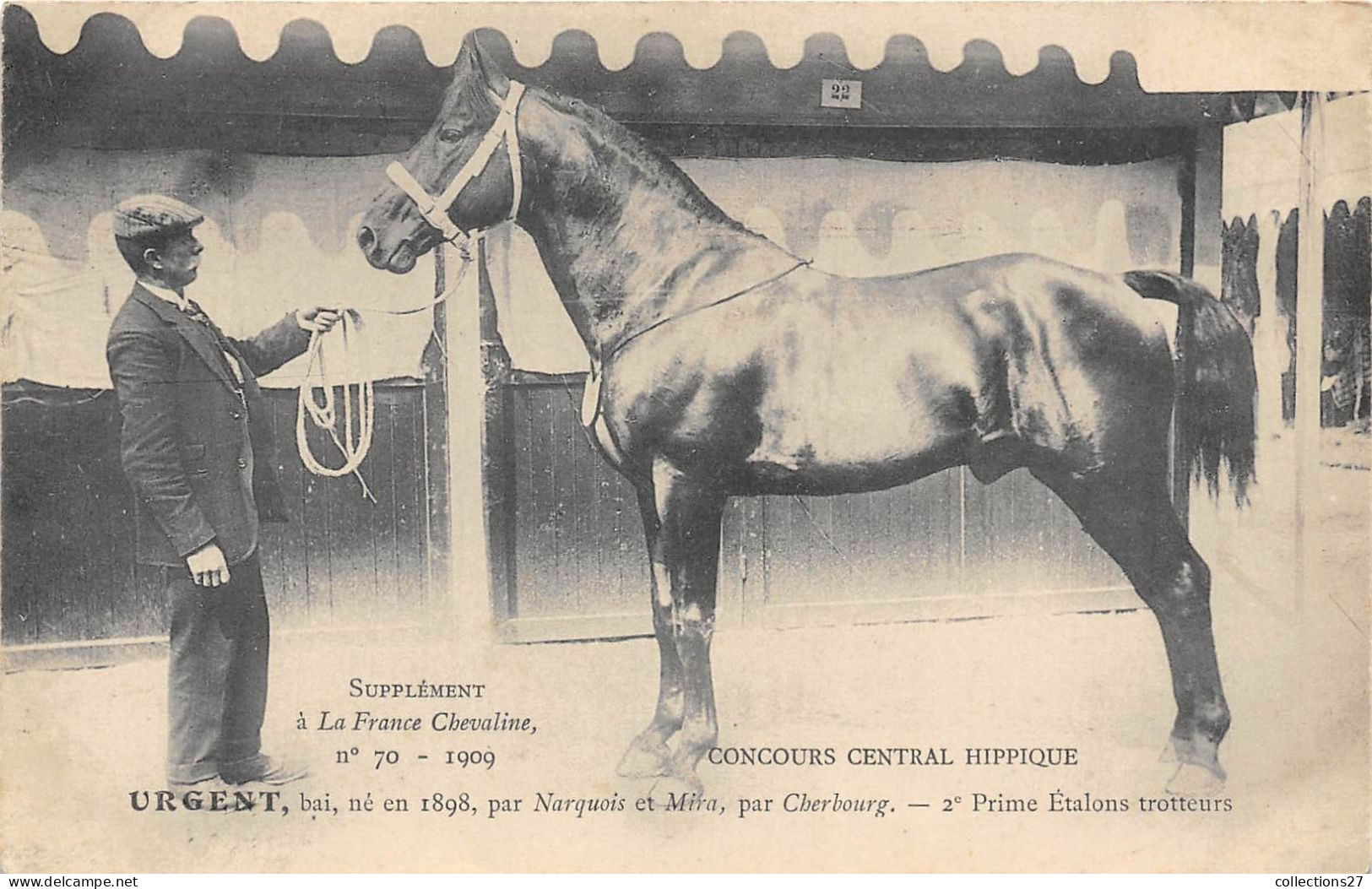 A LA FERME CHEVALINE-CONCOURS HIP URGENT-BAI NE EN 1898, PAR NARQUOIS ET MIRA PAR CHERBOURG- 2e PRIME ETALONS TROTTEURS - Paarden