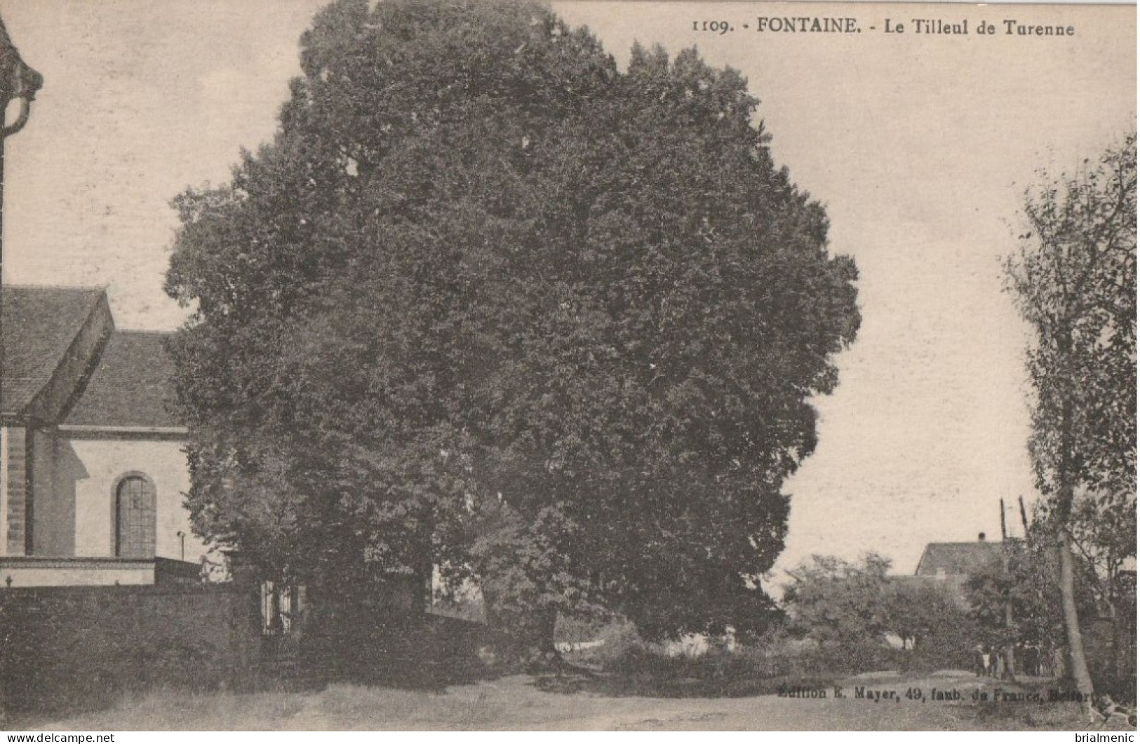 FONTAINE  Le Tilleul De Turenne - Fontaine