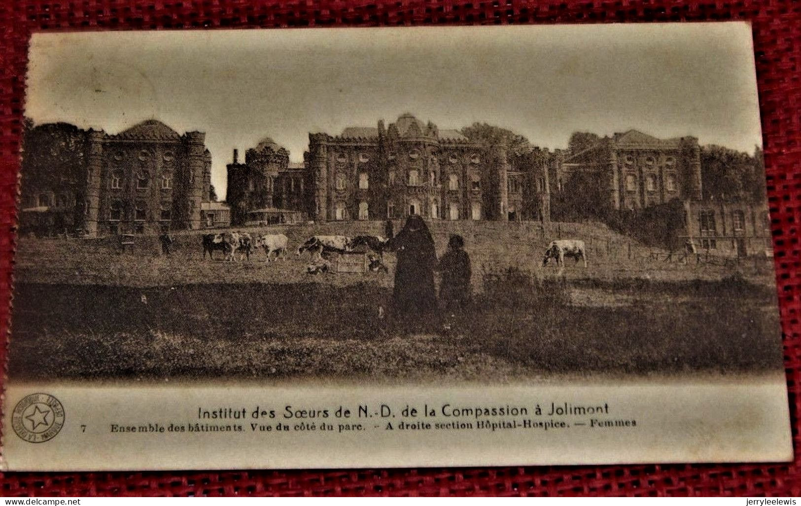 JOLIMONT  - Lot De 4 Cartes :  Institut Des Soeurs De N.D. De La Compassion - - La Louvière